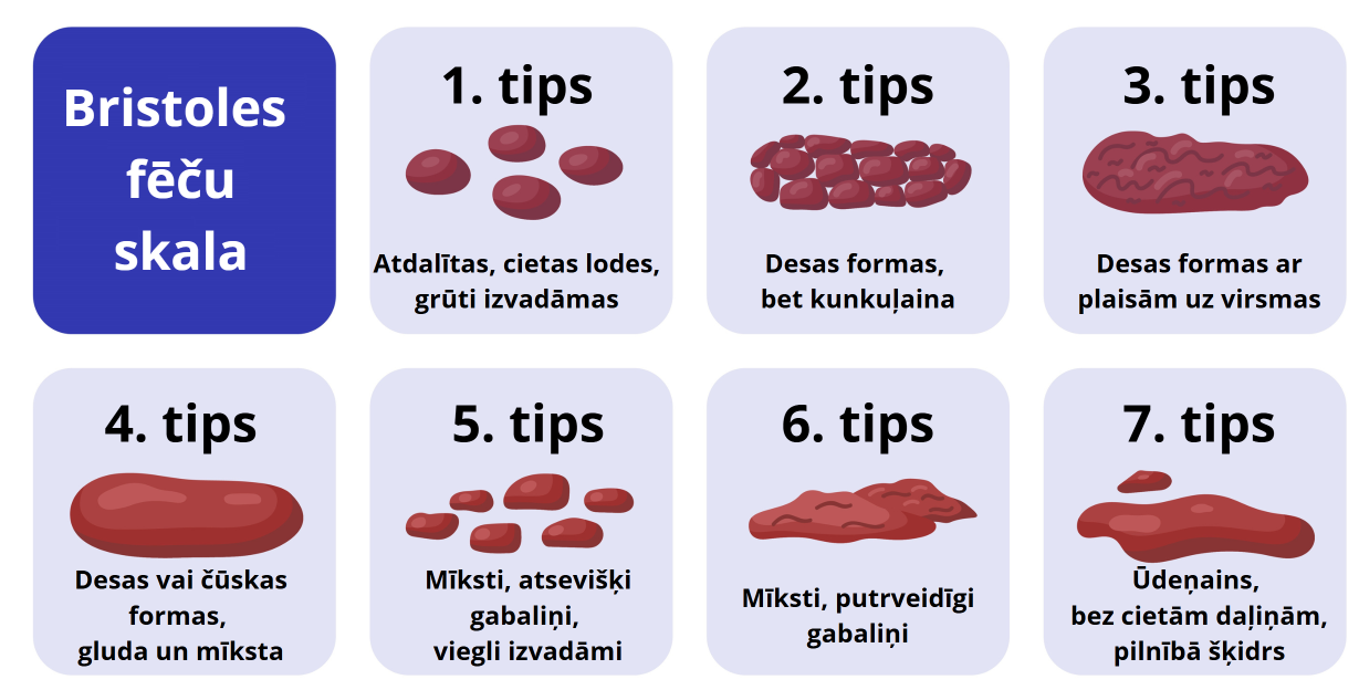 Ekrānuzņēmums 2025-11-10 115421